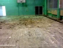 фитнес всички които