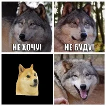 хибриди кучета