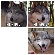 уникален куче-вълк