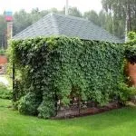 катерливи катерливи