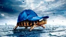Ходьба у швидкому темпі продовжує життя - Євразійська Асоціація Здоров’я швидкому