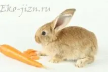 различни различни