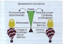 ХАРАКТЕРИСТИКА СИСТЕМИ ГЕМОСТАЗУ системи