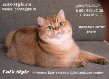 чифтосване чифтосване