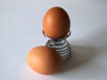 яйчен белтък яйце