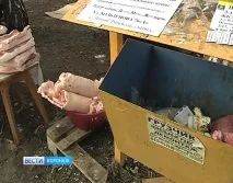 У Воронежі у «Пташиного ринку» м’ясо продають в умовах жахливої антисанітарії. пташиного