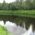 Земельнідомен - пошук слів за маскою та визначенням, відповіді на сканворди земельнідомен