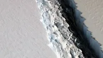 запам