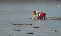 жената жената