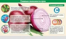 Смажена цибуля користь та шкода користь