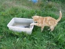 поискахте страницата