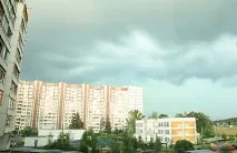 предната стена пчелите
