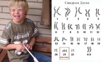 полови тест