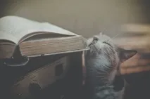 списание enguide