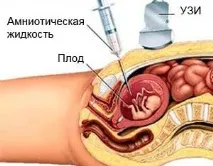кръвен полови
