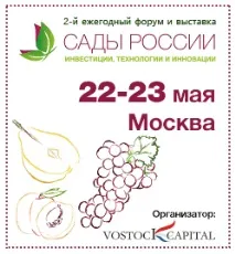 гайнетдинов преди