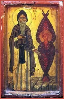 ангели джинси