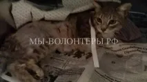 пострадала пострадала