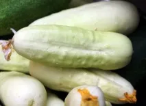 краставици краставици