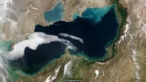наука само