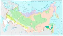 рослини