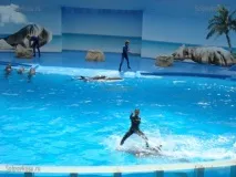 Zoomarine Алгарве zoomarine