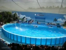 Zoomarine Алгарве zoomarine