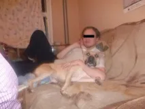 животните