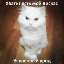 Знайомство з колективом для початківців колективом