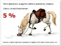 Fialki.ru, фіалки(сенполії) fialki