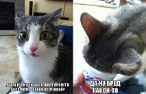 blizzard справил