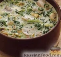 Страви зі шпинату, Страви з сиру, рецепти з фото на 214 рецепти шпинату