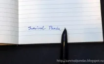 Бюджетні пір’яні ручки з ебея ебея