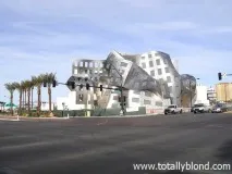 Центр здоров’я мозку Лу Руво (Cleveland Clinic Lou Ruvo Center for Brain Health) руво