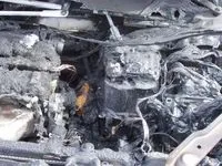 Citroen C4 взяла напрокат американку citroen