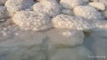 Що ще ви не знали про Мертве море мертве