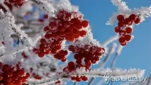 робити