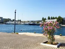 Чотири готелі з великою територією та лісом на березі моря готелі