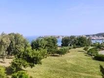 Чотири готелі з великою територією та лісом на березі моря великою
