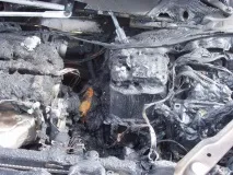 Citroen C4 взяла напрокат американку взяла