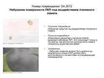 Дефекти лакофарбового покриття, Допоможемо автомобіля