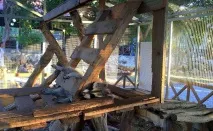 миеща мечка миещата мечка