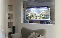 Дизайн акваріума акваріум