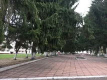 детска