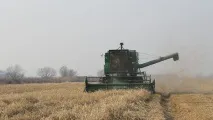 ориз автономен