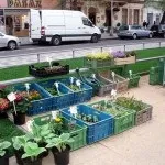 Фермерські ринки у Празі празі