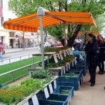 Фермерські ринки у Празі ринок