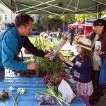 Фермерські ринки у Празі придбати