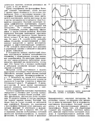 Фототрофні бактерії - Велика Енциклопедія Нафти та Газа, сторінка 1 енциклопедія