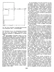 Фототрофні бактерії - Велика Енциклопедія Нафти та Газа, сторінка 1 бактерії